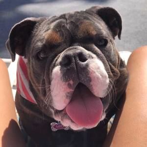 Meet your Posher, Isabella